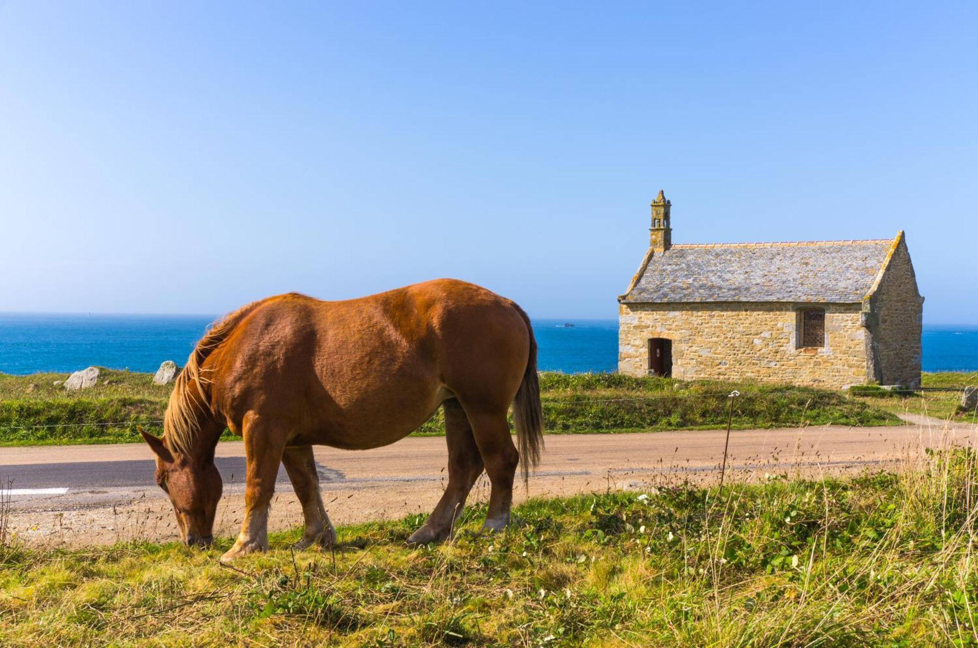 Gwel Ar Mor - Jolie Maison De Charme Renovee Proche Du Port Lanildut Exterior foto